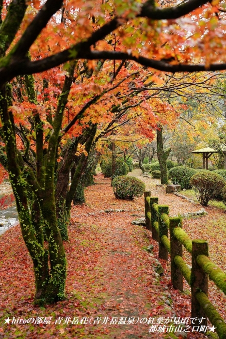 hiroの部屋 青井岳荘（青井岳温泉）の紅葉が見頃です 都城市山之口町