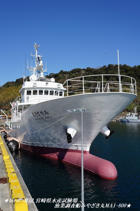 hiroの部屋 宮崎県水産試験場 漁業調査船みやざき丸MA1-800