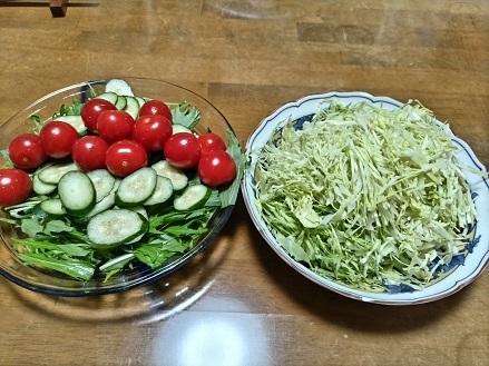 20230109野菜サラダ