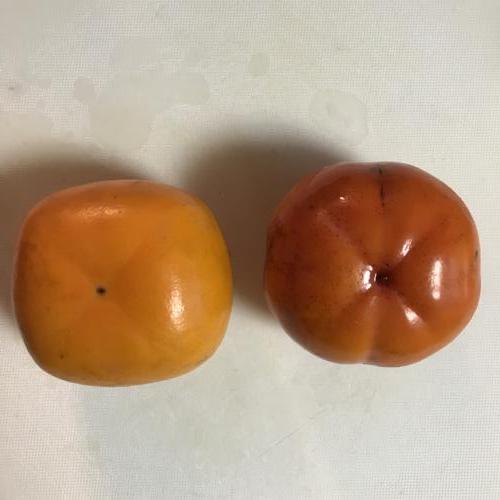 渋柿と甘柿表面